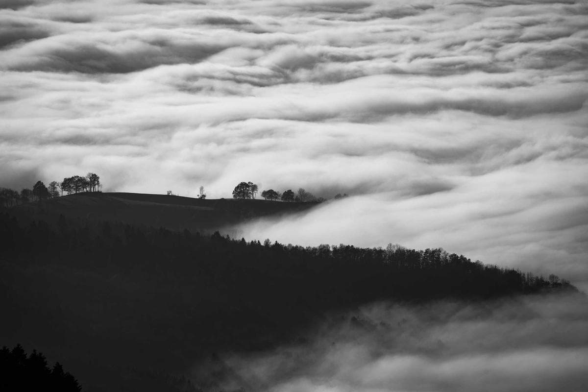 A short defense of walking